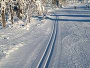 Langlaufloipe op de Fichtelberg