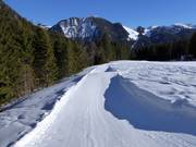 Wavebaan bij de Dreitannenlift