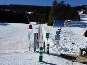 Faon - Transportband