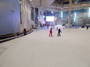 Oefenweide met transportband