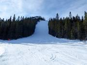 Moeilijke buckelpiste Vargtjutet (skiroute)