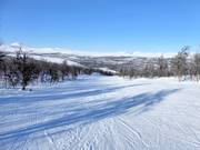 Gemakkelijke piste in Ramundberget