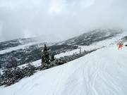 Uitzicht op de Freeride Zone Chopok Zuid