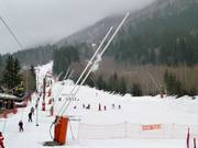 Lanzenbesneeuwing in Les Planards