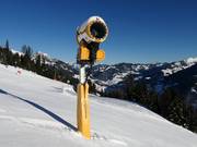 Krachtige besneeuwing