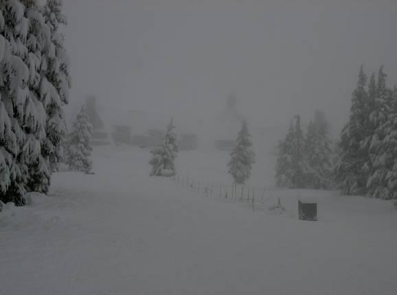 Piste in het skigebied Timberline