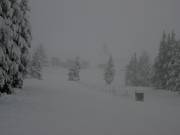 Piste in het skigebied Timberline