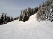 Sport- en familieafdaling