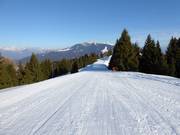 Piste Panoramica Nr. 9