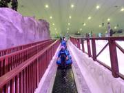 Ski Egypt 5 - Transportband/Moving Carpet