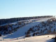 Tussen de bomen wacht veel plezier voor freeriders