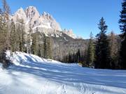 Piste nr. 68 Scoiattolo