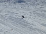 Carving-dromen worden werkelijkheid!