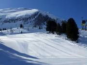 Eersteklas preparatie op de Zehnerkar!