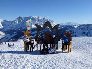 Photopoint met de Hochkönig