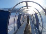 Transportband Palabione