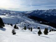 Freeridegebied bij de Passo S. Antonio