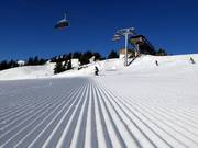 Vers vers geprepareerde Schrödelsteinafdaling