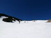 Afdalingen in de Larkspur Bowl