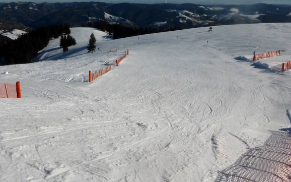 Skigebieden voor beginners in het Wiesental – Beginners Belchen