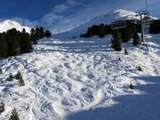 Buckelpiste bij de Steinmannbahn