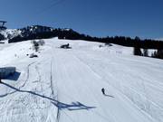 Dalafdaling Laucheren