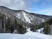 Uitzicht op Alder Point