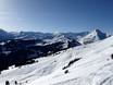 Berner Alpen: Grootte van de skigebieden – Grootte Rinderberg/Saanerslochgrat/Horneggli – Zweisimmen/Saanenmöser/Schönried/St. Stephan
