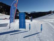 Tip voor de kleintjes 