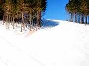 Goed geprepareerd: De pistes op de Sürenberg