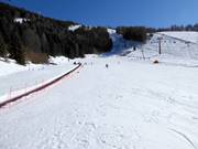 Oefenweide Fondo Grande