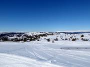 Uitzicht vanaf de Fjellheisen op de Kvitfjellet (1044 m)
