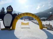 Tip voor de kleintjes  - BOBO Kinder-Club Bach van de Skischule Krainer