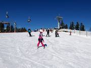 Oefenweide bij de babylift