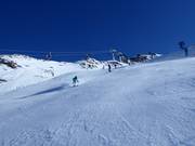 Zwarte piste bij de Leppleskofelbahn