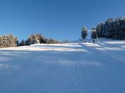 Het bovenste deel van de piste