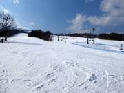 Gemakkelijke piste Junior