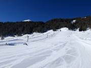 Makkelijke piste bij de sleeplift Amerikan