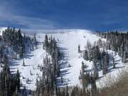 Zeer steile Daly Bowl