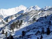 Rückbringerlift - Sleeplift met T-beugel/Ankerlift