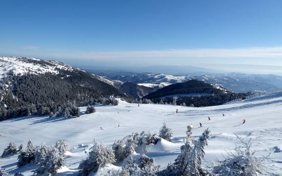 Beste skigebied in Šumadija en West-Servië – Beoordeling Kopaonik