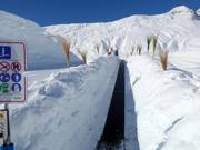 Hexenland 4 - Transportband/Moving Carpet