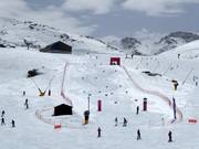 Racetrack Borreguiles