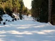 Dalafdaling naar Hungerburg