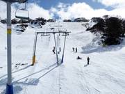 Blaxland T-Bar - Sleeplift met T-beugel/Ankerlift