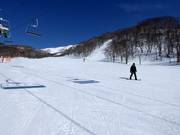 Oefenweide bij de Dream Quad Lift #1 in Annupuri