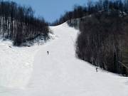 Afdaling Panoramique