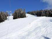 Peheimafdaling FIS-traject gehomologeerd