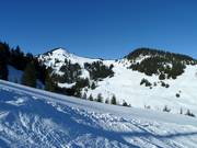 Uitzicht op de Wildgunten