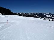 Makkelijke dalafdaling Laucheren